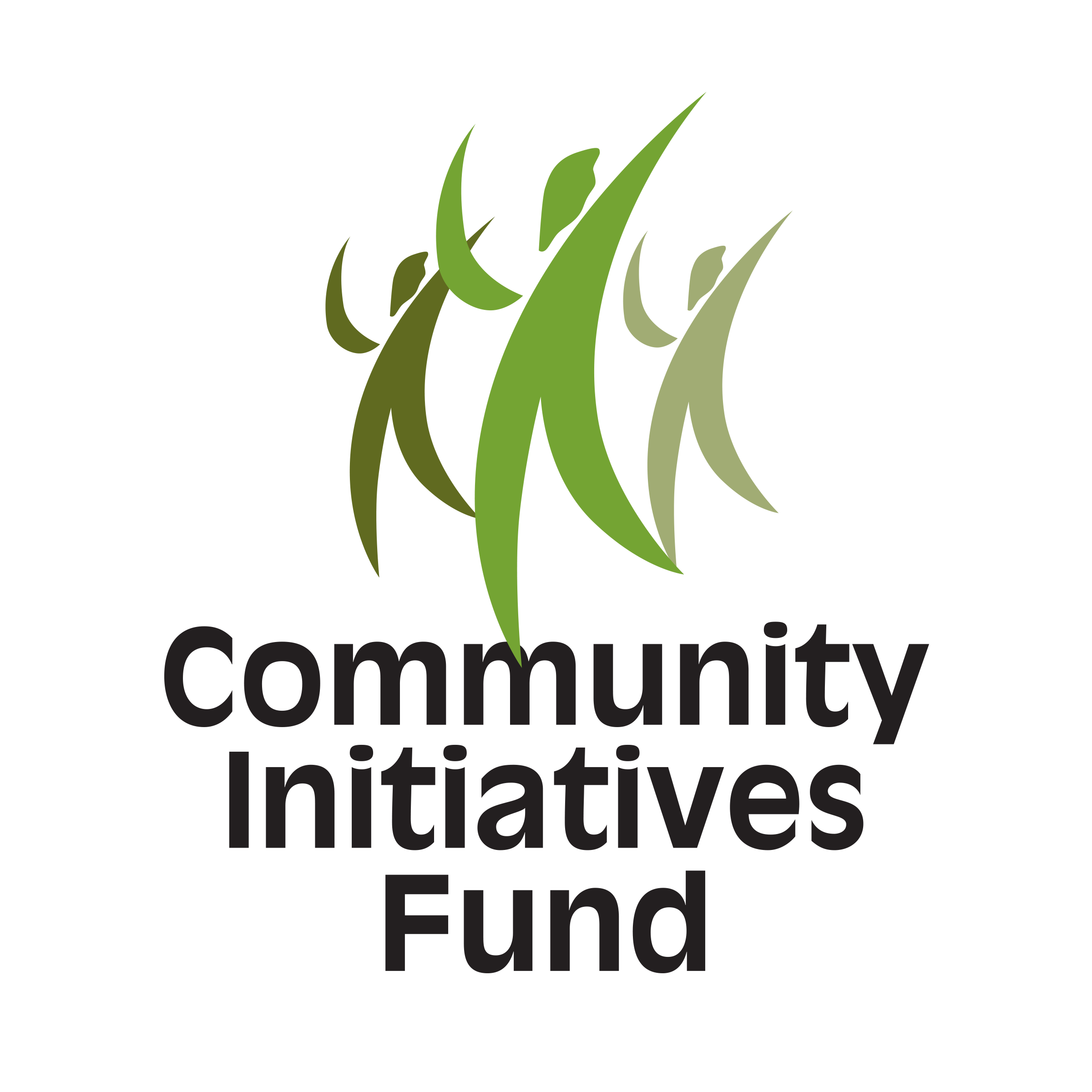 Community Initiatives Fund colour logo vertical