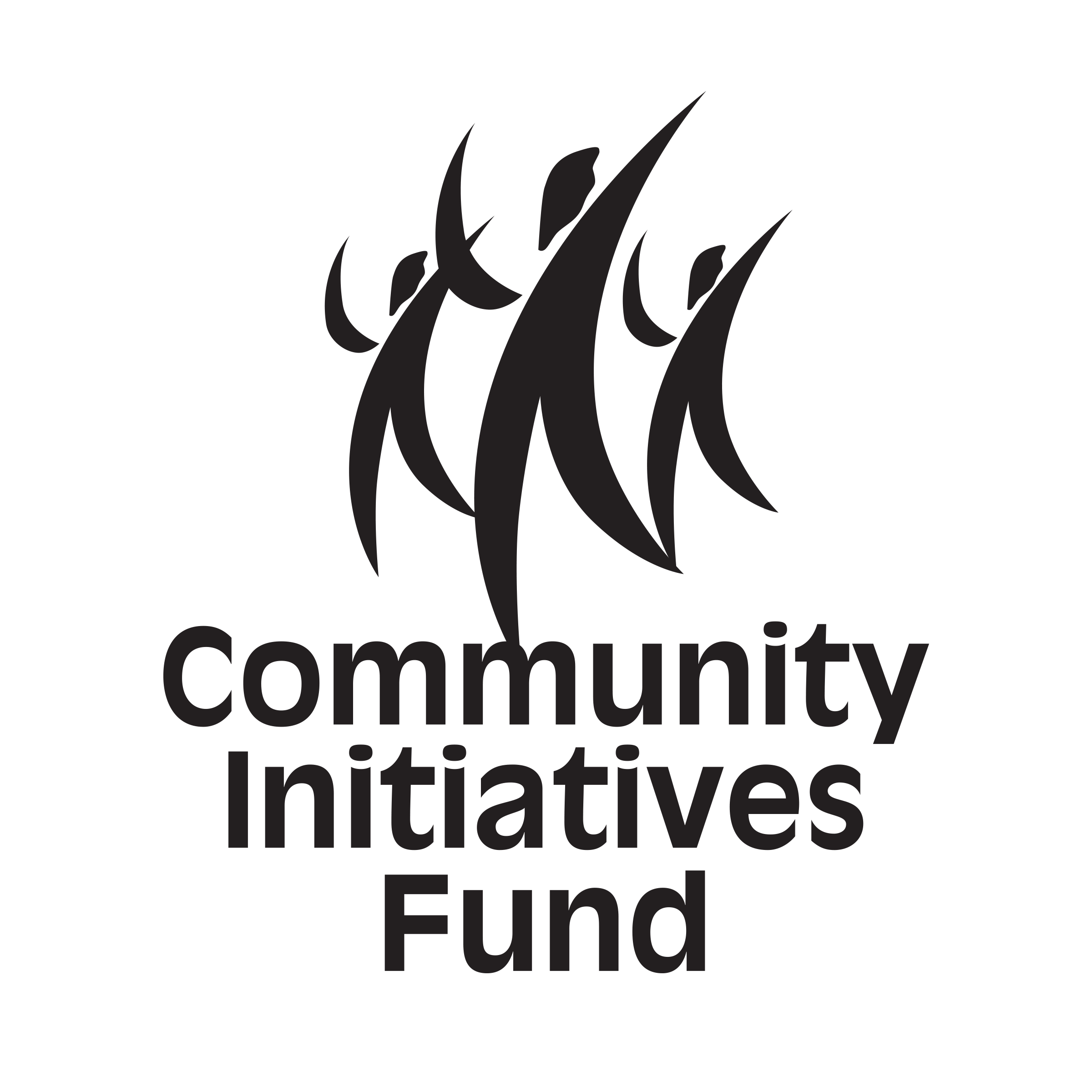 Community Initiatives Fund black logo vertical